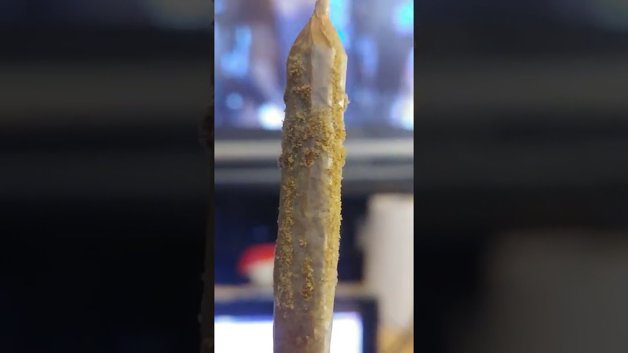 Joint Time | The Cannasseurs