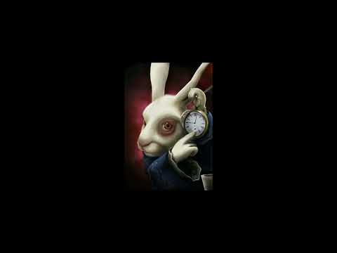 New Computers Girlfriends Slowed To Perfection