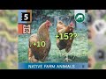 Ark nova  native farm animals is op