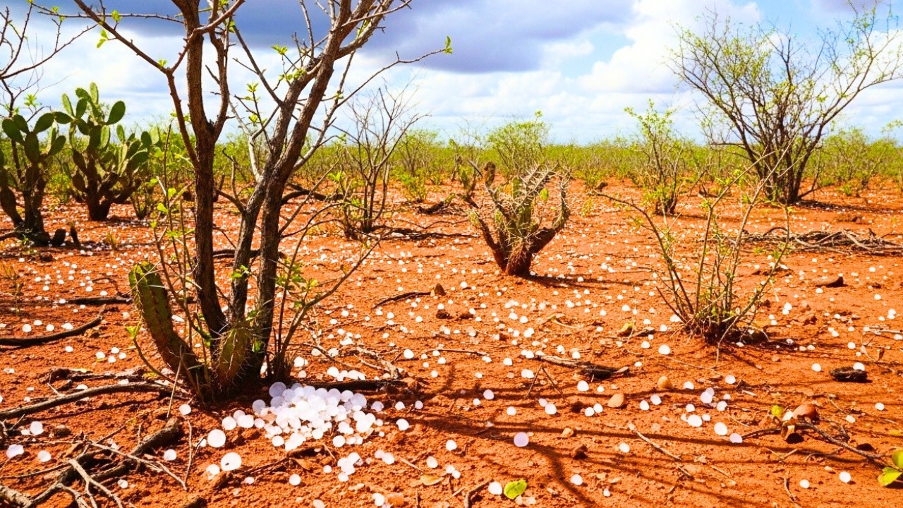 O Dia Em Que Caiu GELO no SERTÃO!