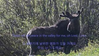 Watch Anne Murray Peace In The Valley video