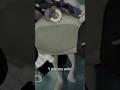 way to ruin the moment | #ppbclips #peak