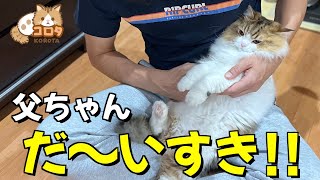 自宅療養中の父ちゃんとまったり幸せな時間を過ごす猫【コロナ自宅療養】