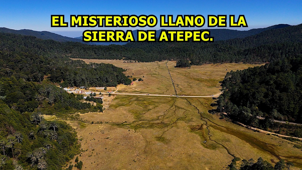Los Bosques SURREALISTAS de la Sierra Norte de Oaxaca || Parece Suiza.