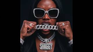 Bouncy Type Beat Shaggy Club Banger 2025