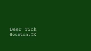 Deer Tick Houston TX chords