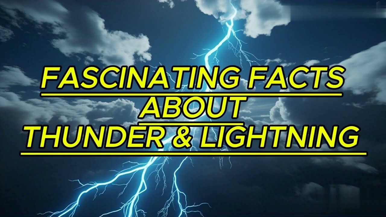 Fascinating Facts about Thunder @Magic  Berry's