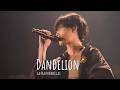 흩어지는 우리의 나날|go!go!vanillas - Dandelion (ダンデライオン)|[LIVE] 한글 자막