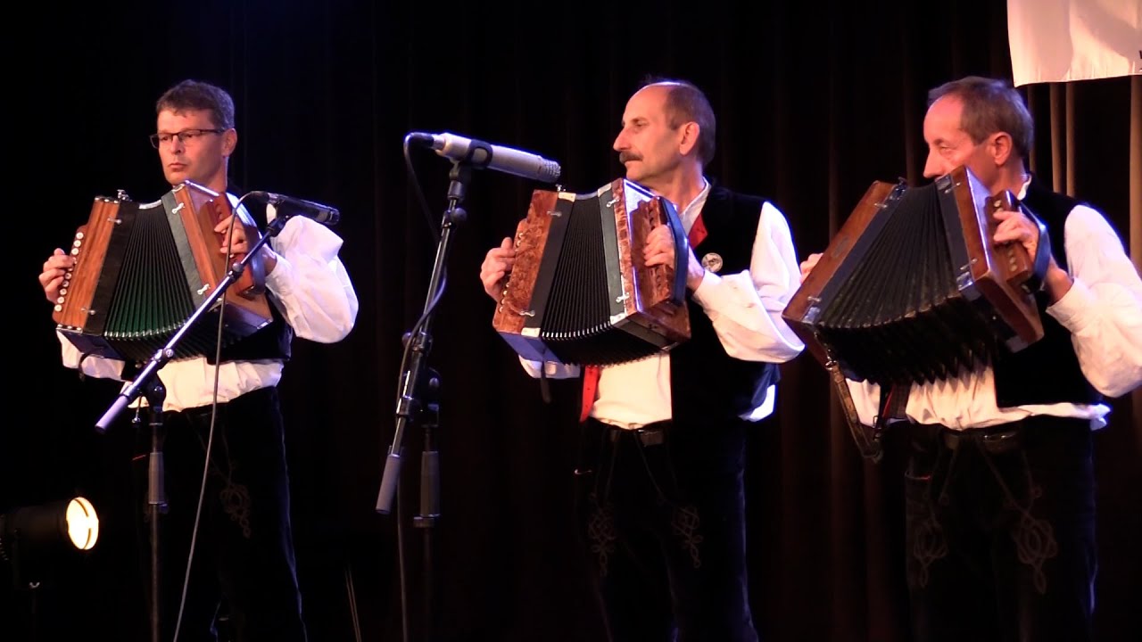 A Hajósi gombos harmonikás együttes