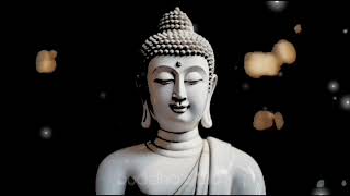 The power 💪 of perseverance #buddhasway #motivation #power 