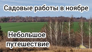 Садовые работы в ноябре.🌳 Небольшое путешествие🚕