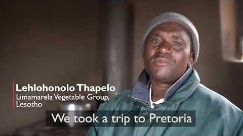 The Chameleon Sensor