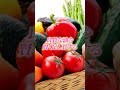 野菜と良質な油はセットで摂るのが◎！