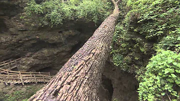 Kdo je největší národní park v Krkonoších?