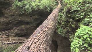 Maquoketa Caves State Park Jackson County Iowa