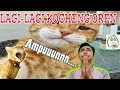 KELAKUAN KUCING OREN JAMAN NOW !! | Kompilasi Video Lucu Kocheng Oren (part 1)