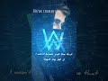 Who i am by alan walker peder elias and putri ariani   lyrics