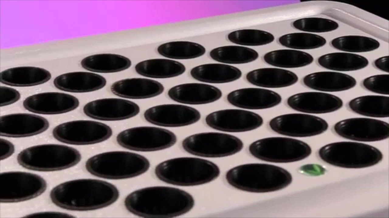 Clone Machine   SuperCloner Cloning Hydroponic System