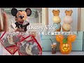 ［Disney vlog］ハロウィンのパークを楽しむ誕生日ディズニー｜ミッキーと念願の握手🐭