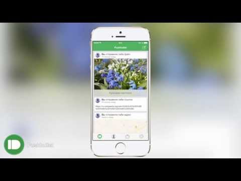 Обзор бесплатного приложения Pushbullet для iOS, Android, ПК и Mac