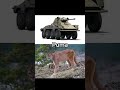 German zoo | Part 2