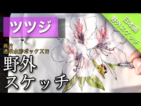 Outdoor sketch] Drawing azalea flowers with a quilt and ink