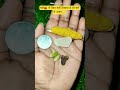 पर्स में पैसा नहीं टिकता है तो करें ये उपाय#ytfacts #astrology #shaorts#facts #money