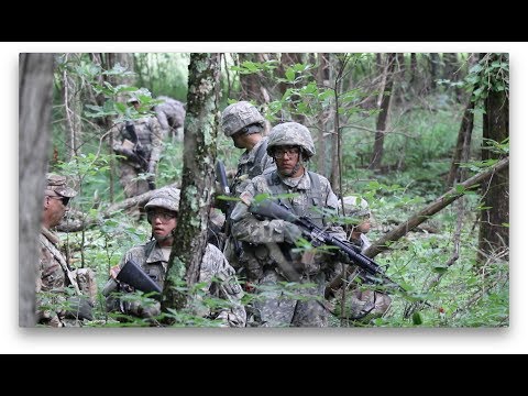 1st Regiment, Basic Camp 2017 | FTX