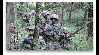 1st Regiment, Basic Camp 2017 | FTX