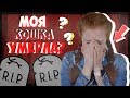 МОЯ КОШКА УМЕРЛА? ИСТОРИЯ ИЗ ЖИЗНИ.