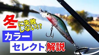 【ルアーカラー】冬のバス釣りに欠かせないハードベイトのカラーセレクト方を教えます！Bassfishing
