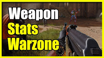 How to Check Weapon Accuracy & Stats in Game COD Warzone (Black Ops 6)