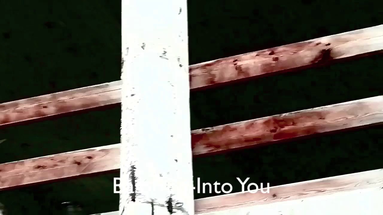 Bassfreq -  Into you (Trapez 222)