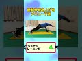 運動神経を上げるトレーニングを7つご紹介!! #運動神経向上#トレーニング動画#簡単トレーニング#自宅トレーニング#運動好きな人と繋がりたい