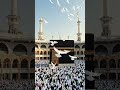 Allha ka Karishma ababil #shortsfeed #shorts #ytshorts #viral #trending #islamic #povar #ababil