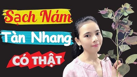 CÁCH TRỊ NÁM BẰNG LÁ TÍA TÔ ( có thật) da đen nám bẩm sinh cũng hết dần sạch sẽ