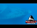 THE WRECK OF THE LADY LUCK PART 2 - SQUALUS MARINE DIVERS