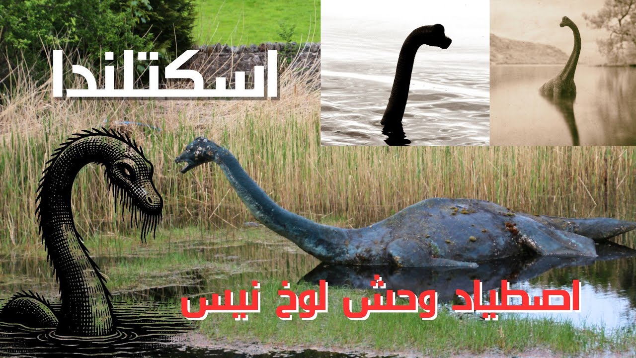 الوحش نيسي في بحيرة لوخ نس | وحش البحيرة | مستكشف_الوثائقيات - YouTube
