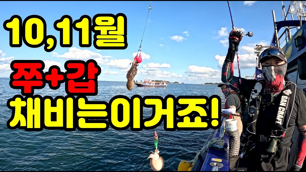 갑오징어 주꾸미 10월11월엔 이채비 쓰셔야 합니다!