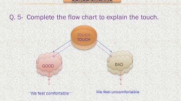EVS Revision Worksheet "Sense Organs" for Class 2 By- RACHANA Ma