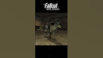 Fallout Dogs Through the Years #Fallout