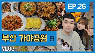 공원집 영상