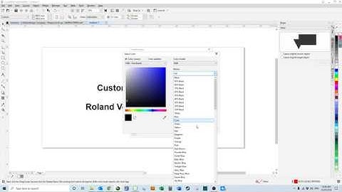 CorelDRAW 2019 - Custom Colour Palette & VersaWorks Palette