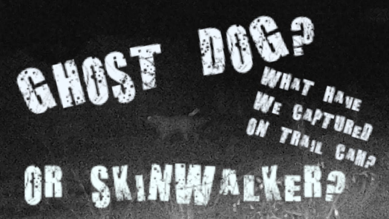Skinwalker? or Ghost Dog? Return To The Graveyard Camp Is This Proof