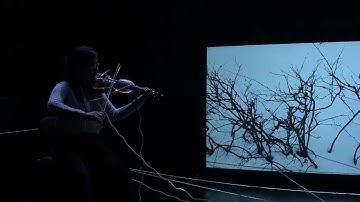 Lines (2023) - Live Recording