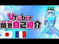 【自己紹介】Vtuber一問一答自己紹介【コントラ・コンテBAXY←↑↑→ 】日本語&フランス語