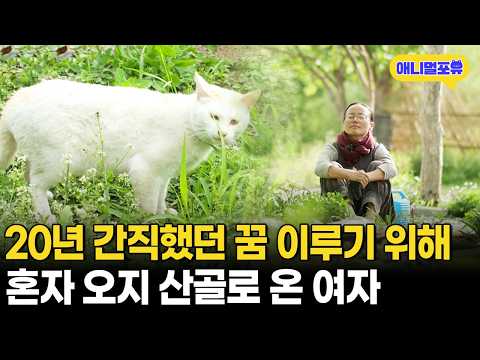 오지 산골에서 홀로 반려묘, 반려벌까지 키우면서 살게 된 자연인ㅣKBS 자연의 철학자들 220729 방송