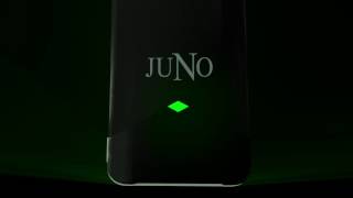 Juno Vape Menthol Pods Carton
