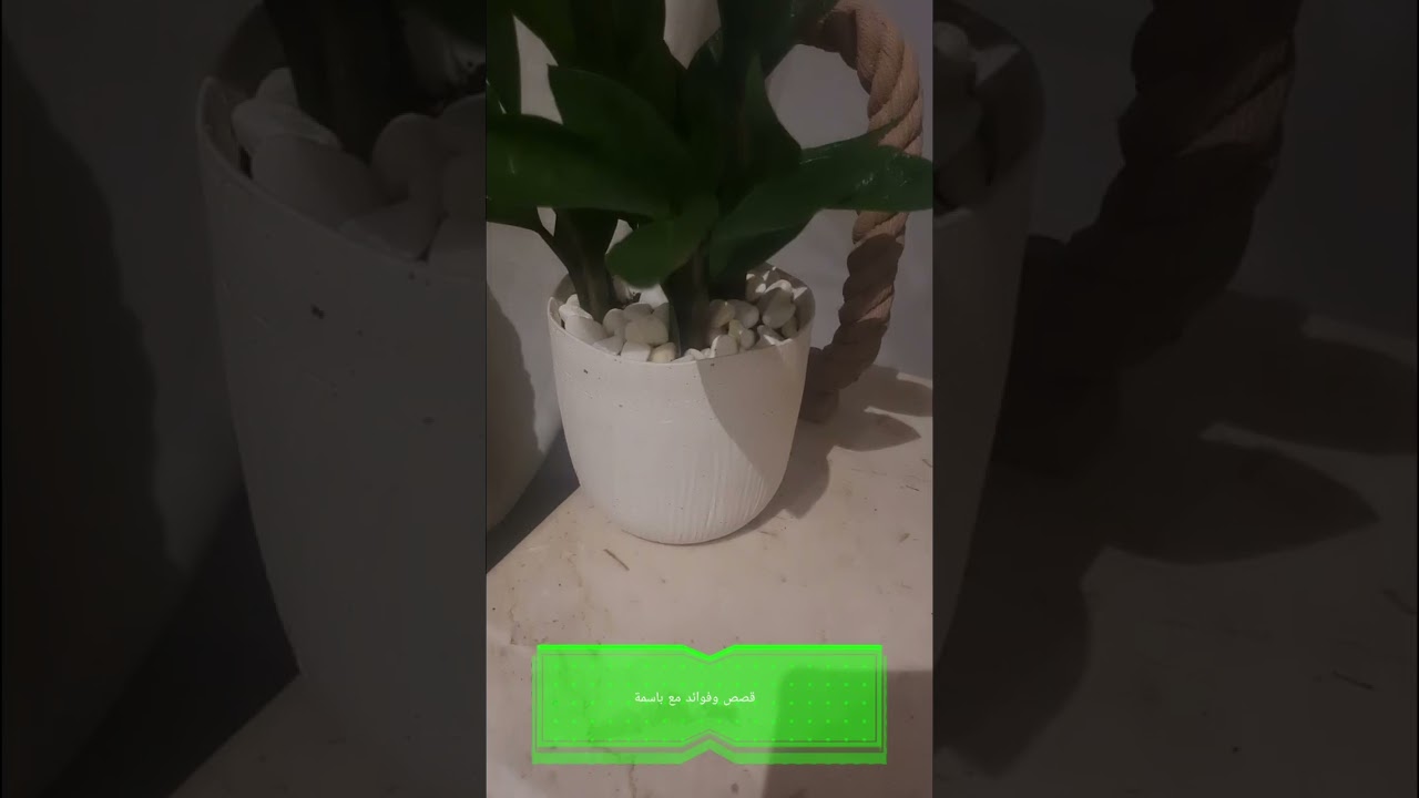 صراخ رضيع وصمت طفلة ودماء  (جريمة بشعة)