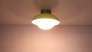 This Is How The Ceiling Light Really Looks Cl-T7296Cu-Y